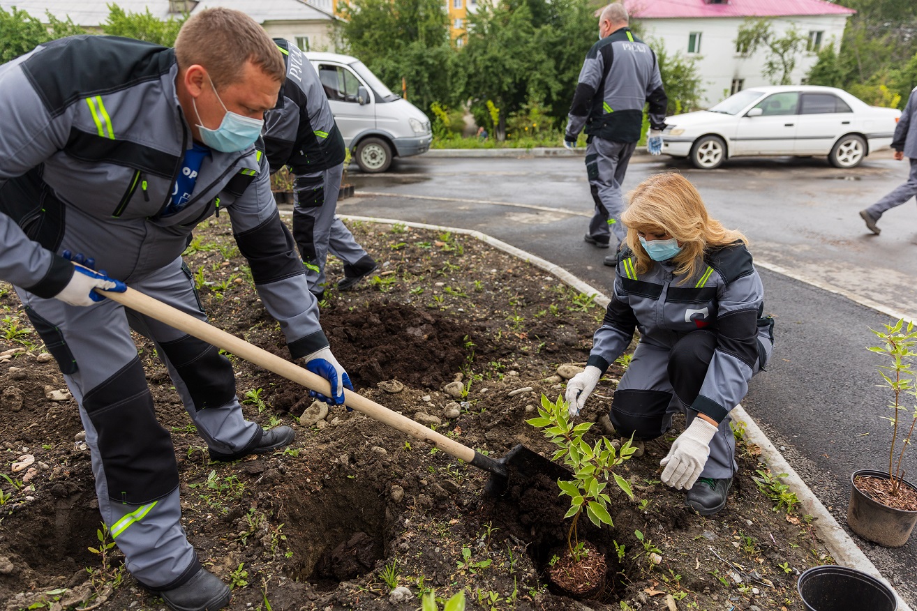 Сотрудники РУСАЛа высадили возле здания Медицинского центра помощи и спасения в Шелехове более 800 саженцев