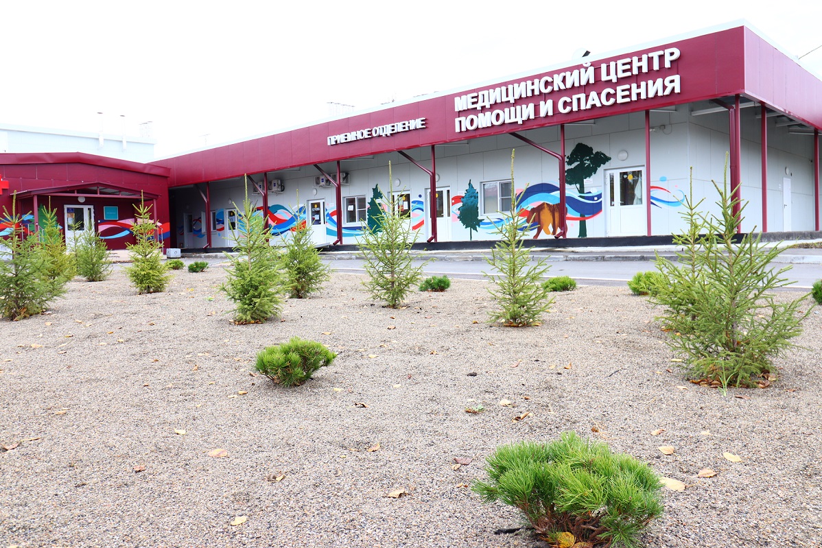 Творческий подарок для шелеховских медиков подготовили сотрудники РУСАЛа