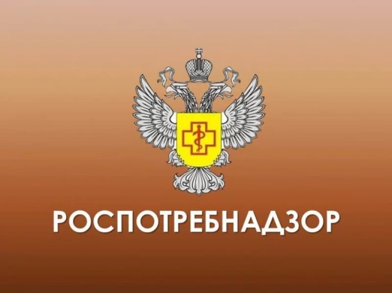 Покупка автомобиля в автосалоне или как не купить «кота в мешке»