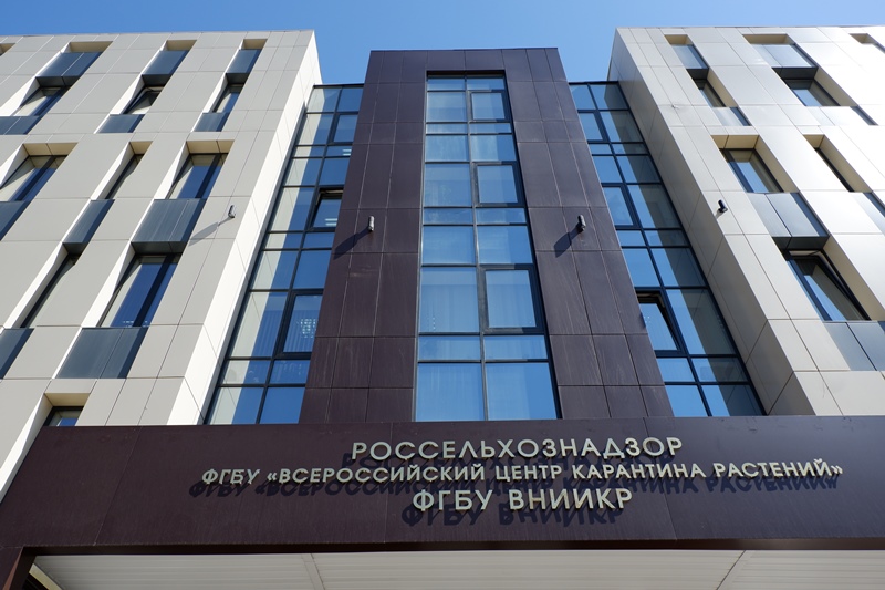 Какие ветеринарные правила и законы начали действовать с 1 сентября 2023 года?