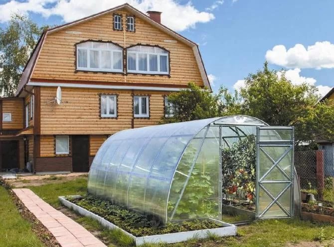 Прививки плодовых культур, выращивание чеснока и лука - важные темы курсов садоводов