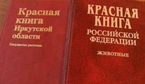 Впервые Красную книгу Иркутской области издали в регионе в 2010 году тиражом одна тысяча экземпляров