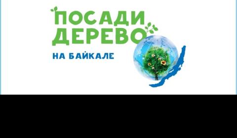 В Иркутской области день лесопосадки назначен на 18 мая