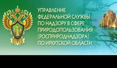 Управление Росприроднадзора по Иркутской области подало в Арбитражный суд иск в адрес БЦБК