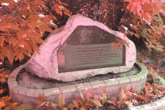 В Иркутске приступили к благоустройству Сада Томсона