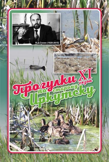 «Прогулки по старому Иркутску» приглашаю на Ново-Ленинские болота