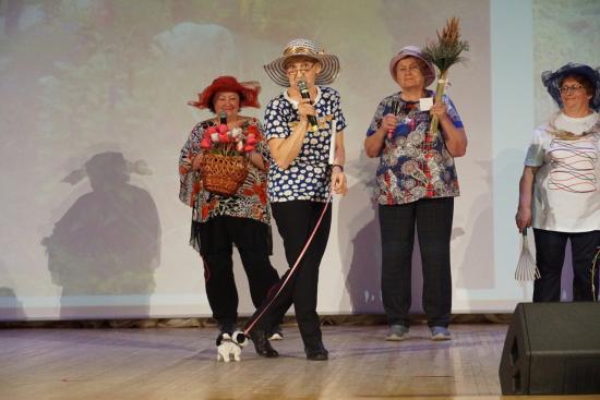 При поддержке Алексея Красноштанова состоялся творческий конкурс для пожилых жителей Иркутска