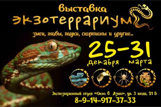 Иркутян приглашают на выставку экзотических змей и пауков в краеведческом музее