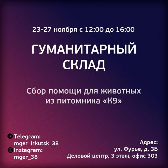 Акцию в помощь животным из приюта К-9, привезенным из Карлука, запустили в Иркутске