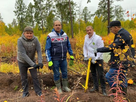 Евгений Бакуров: Жители Братска и района внесли большой вклад в Всероссийскую акцию «Сохраним лес»