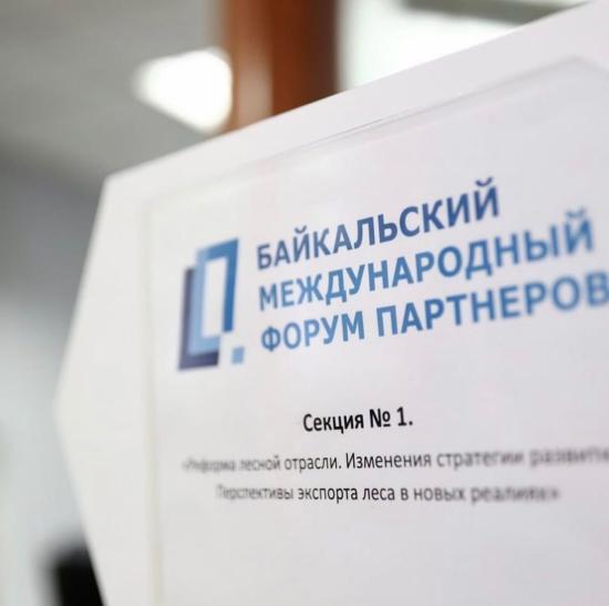 Реформирование лесной отрасли обсудили на Байкальском международном форуме партнеров
