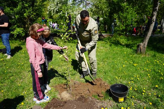 В Лисихинском парке Иркутска высадили более 100 деревьев