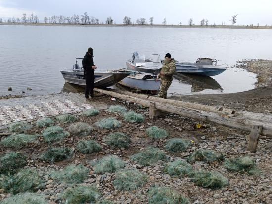 Браконьерские сети и погибшую рыбу изъяли у берегов Байкало-Ленского заповедника