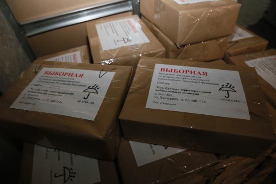 Досрочное голосование по изменениям в Конституцию РФ стартует 17 июня в отдаленных и труднодоступных районах Иркутской области