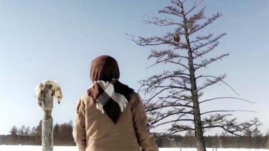 Гран-при кинофестиваля "Человек и Природа" взял победитель ММКФ "Царь-Птица"
