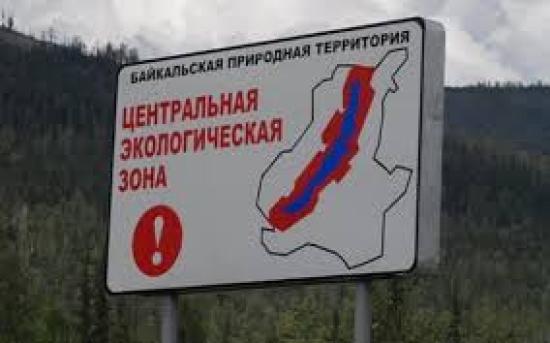 Соглашения на санитарные рубки в Ольхонском лесничестве на участке для заготовки дикоросов признаны незаконными