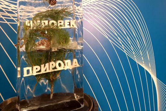 Победителями Байкальского питчинга кинопроектов стали участники из Владивостока и Иркутска