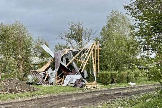 Ущерб сельхозугодьям от непогоды в Черемховском районе оценили в 60 млн рублей