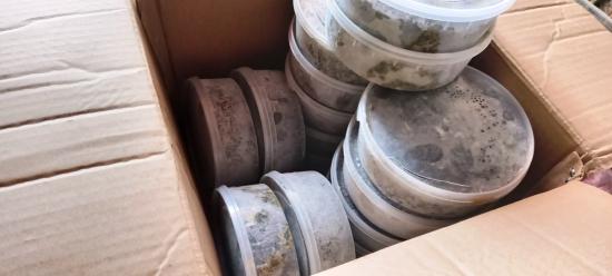 Третью партию черной икры за месяц изъяли на посту в Слюдянке