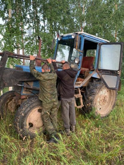 Жители Усольского района незаконно рубили сосны