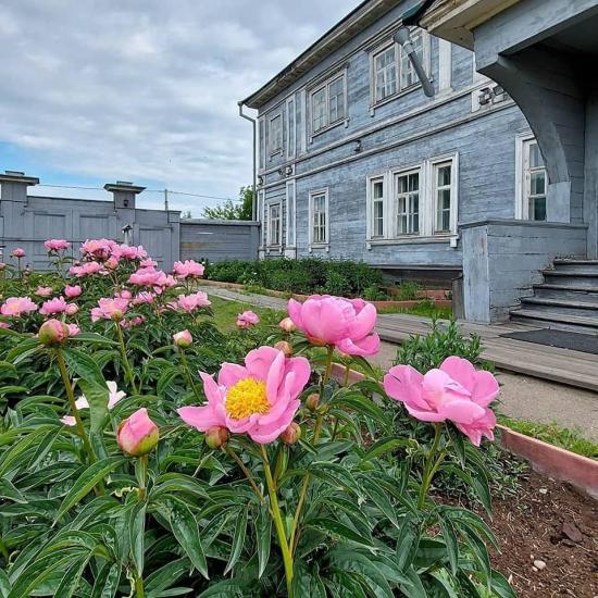 Выставка «Пиономания» пройдет с 1 по 3 июля в Иркутске