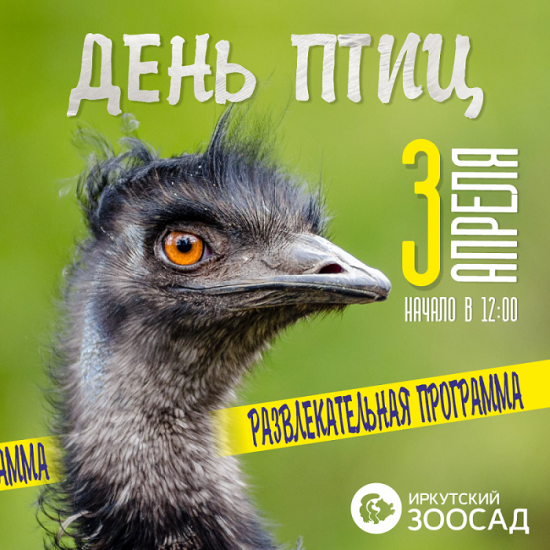 День птиц проведут в Иркутском зоосаде 3 апреля