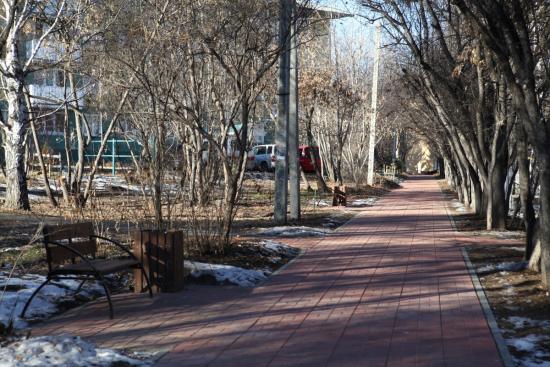 Второй этап благоустройства дендропарка в Академгородке Иркутска выполнят в 2022 году