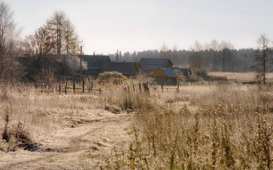 Большинство хозяйств не занимаются животноводством Росстат составил "портрет" агрария