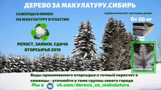 Иркутян приглашают сдать макулатуру и посадить взамен дерево