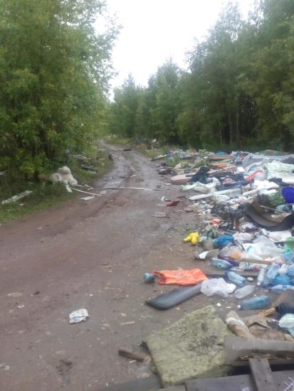 В двух садоводствах Нижнеилимского района устроили стихийные свалки