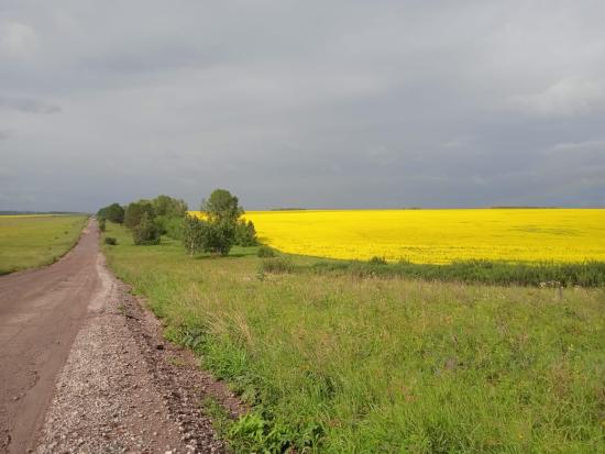 Пункт весогабаритного контроля появится на автодороге Черемхово – Голуметь – Онот до конца года