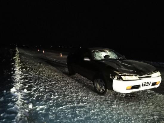 Пешеход погиб под колесами автомобиля на автодороге между Черемхово и Свирском