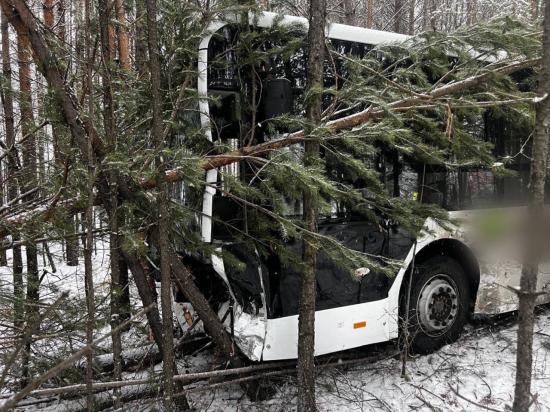 ДТП с участием двух автобусов и внедорожника произошло в Усть-Илимске
