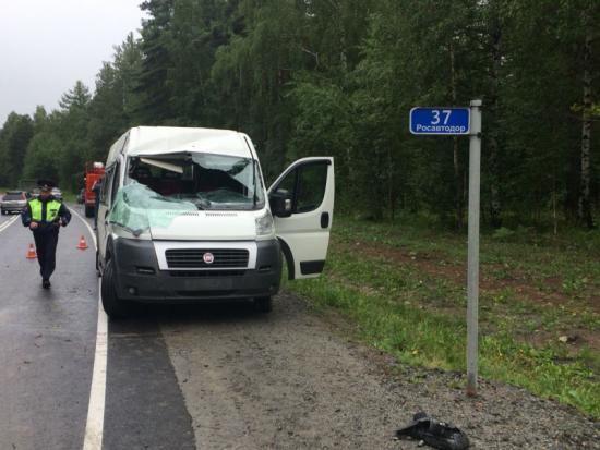 В ДТП с междугородней маршруткой на трассе "Сибирь" пострадали 12 человек