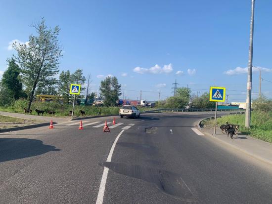 Подростки пострадали в ДТП в Иркутской области при управлении электросамокатом и мотоциклом