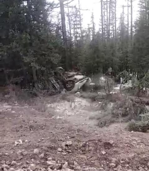 Останки без вести пропавшего мужчины обнаружены в Нижнеилимском районе