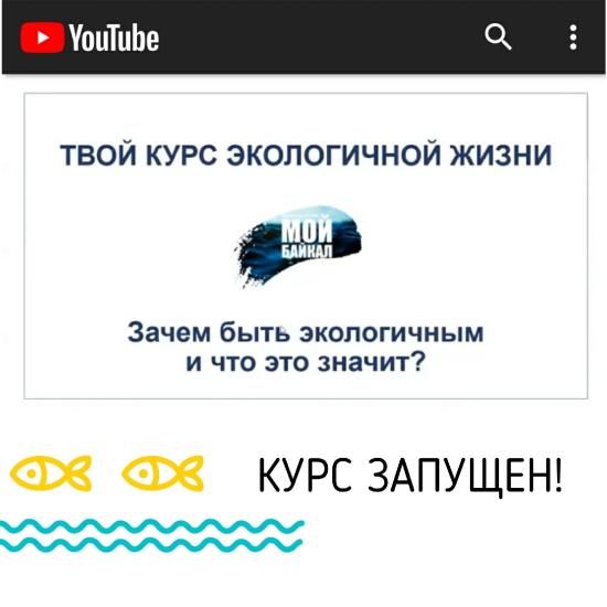 Серия вебинаров по экопросвещению стартует в Иркутской области 23 декабря