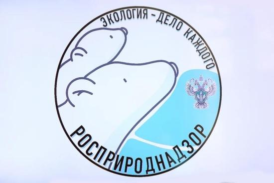 Школьники Иркутской области могут принять участие в Международной премии «Экология – дело каждого»