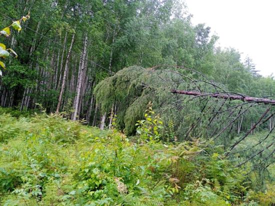 В Мамско-Чуйском районе восстановили электроснабжение, аварийно прерванное непогодой