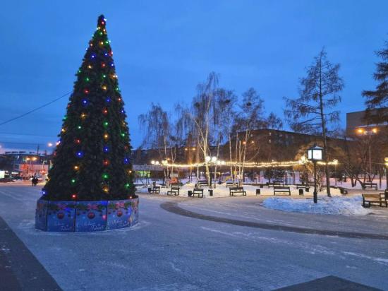 Главную новогоднюю елку Октябрьского округа Иркутска установят на бульваре Постышева