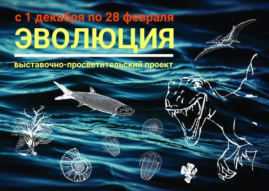 Ботанический сад ИГУ презентует выставку об эволюции растений
