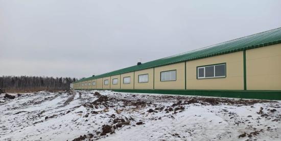Семейную молочную животноводческую ферму открыли в Тулунском районе