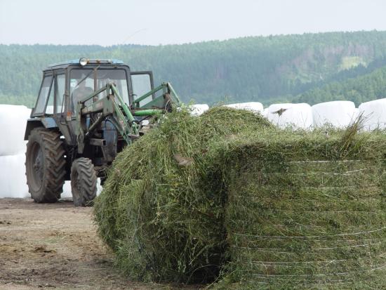 В Иркутской области стартовал набор участников проекта «Школа фермера»