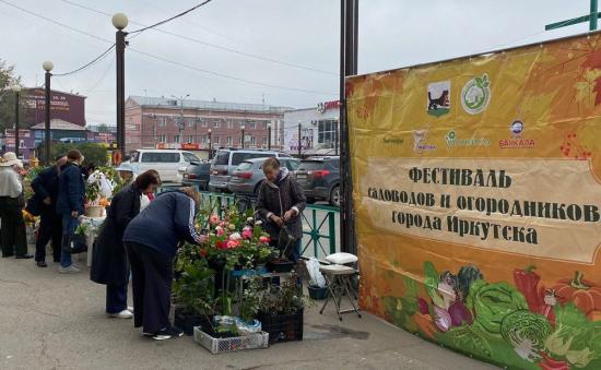Фестиваль садоводов и огородников посетили около двух тысяч иркутян