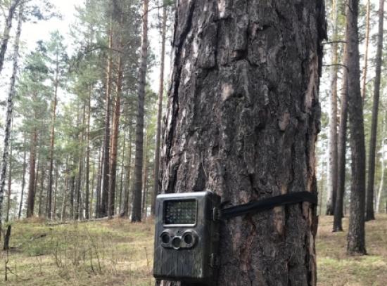 Виновников лесных пожаров в Иркутской области будут выявляться с помощью фото- и видеофиксации