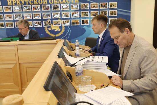Депутаты ЗС призвали Минздрав Иркутской области организовать бесперебойное обеспечение детей с фенилкетонурией смесями