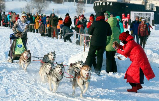 Гонки на собачьих упряжках «Baikal Race» пройдут со 2 по 4 марта в Иркутской области