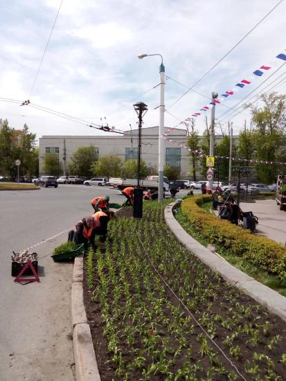Цветы начали высаживать на клумбы Иркутска