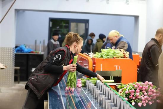 Иркутский «Горзеленхоз» нарастил производство