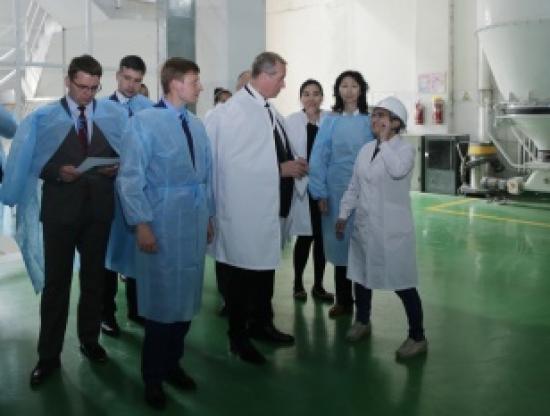 В Иркутской области могут построить мукомольный комбинат
